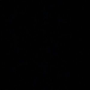 Meet your Posher, Brzh